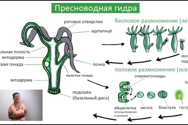 Тор kraken