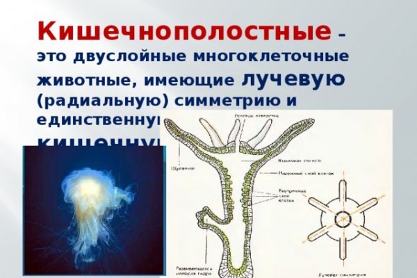 Кракен новый маркетплейс