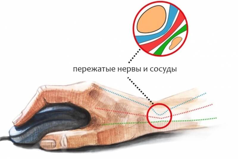 Кракена net